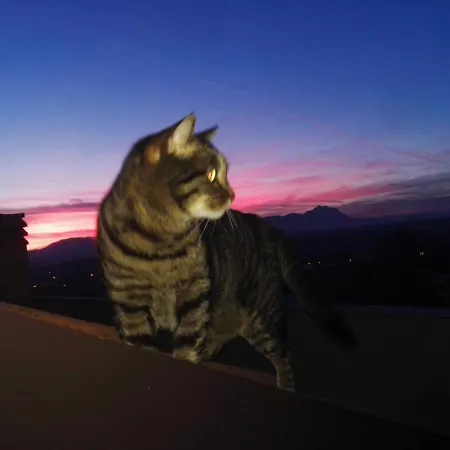 Colle Dell'ara Chieti