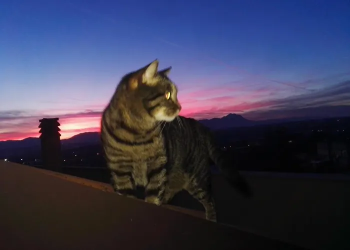 Colle Dell'ara Chieti